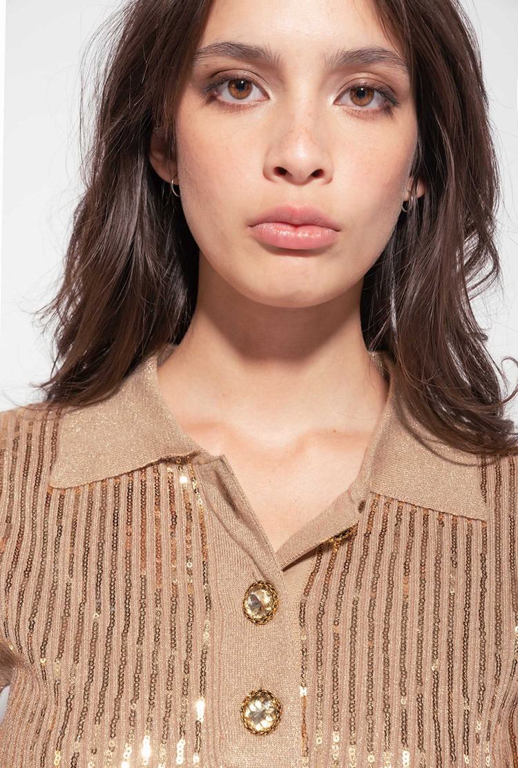 Brown/Gold Women's Pinko Sequins Sweaters | Ireland-98034269