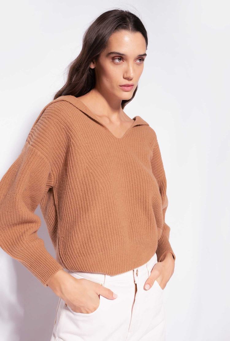 Brown Women\'s Pinko Wide-neck Pullover | Ireland-13540969