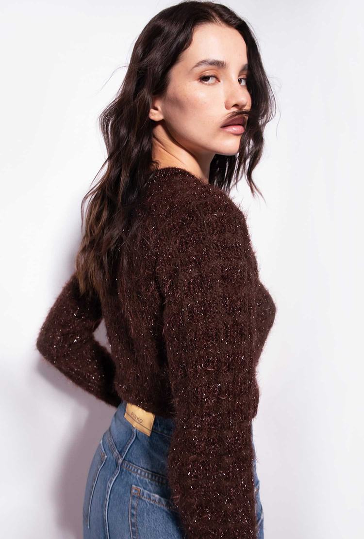 Chocolate Women's Pinko Alpaca Blend Fluffy Pullover | Ireland-25869379