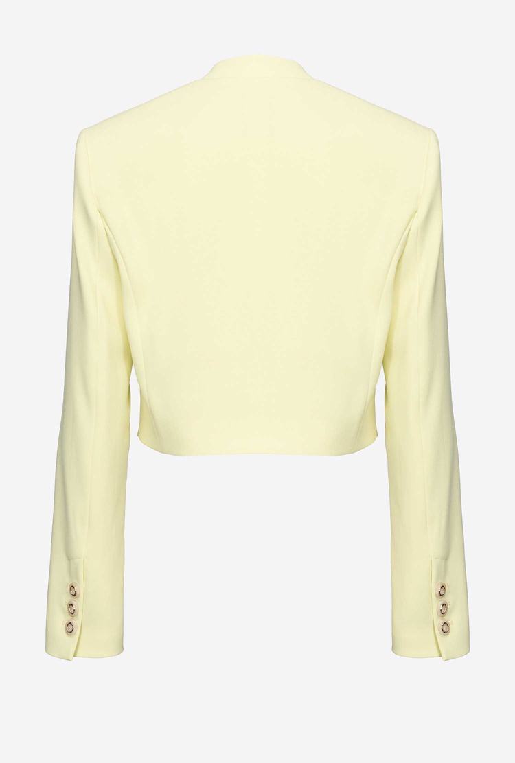 Light Yellow Women's Pinko Cropped Blazers | Ireland-01437589