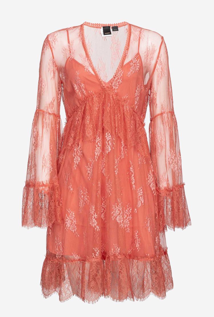 Rose Women's Pinko Lace Dress | Ireland-92375189