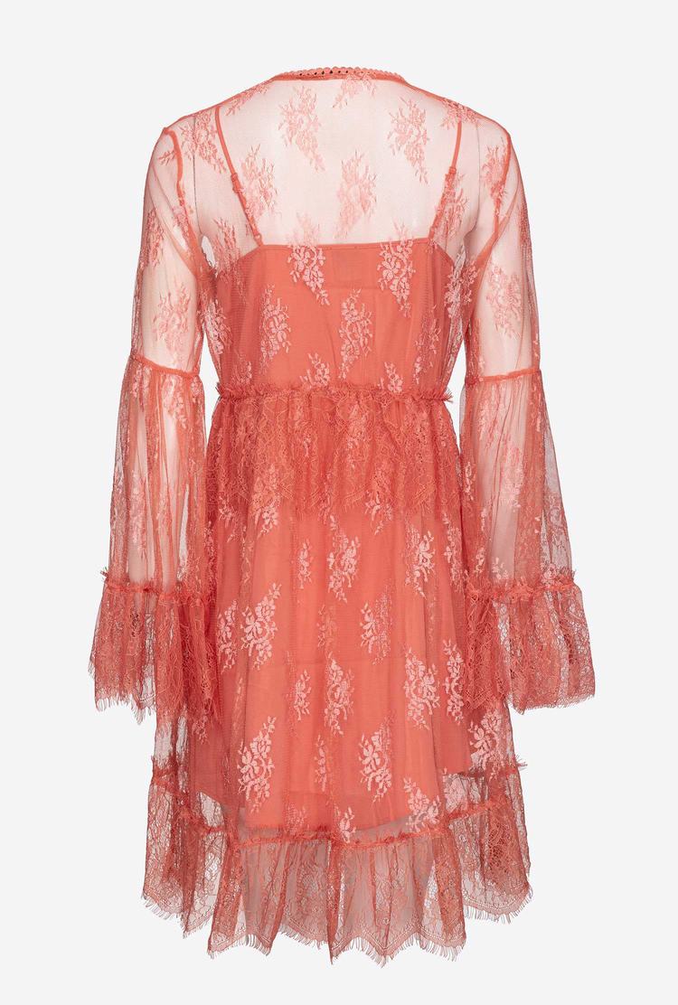 Rose Women's Pinko Lace Dress | Ireland-92375189